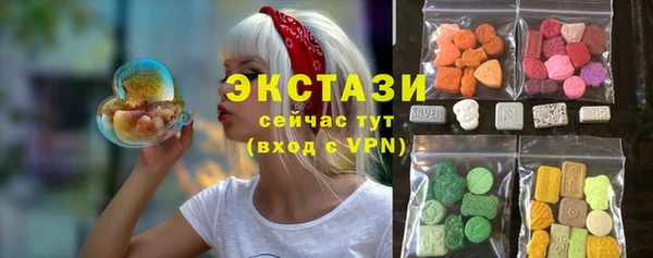 индика Заводоуковск