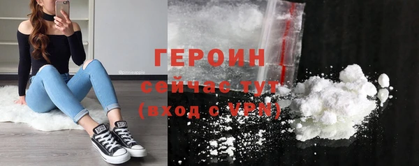 индика Заводоуковск