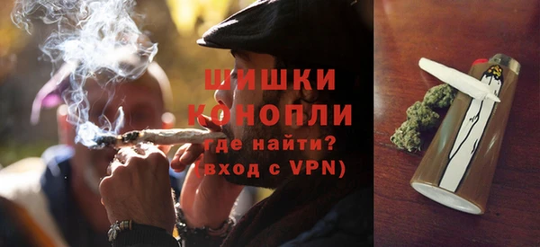 молекула духа Заволжье