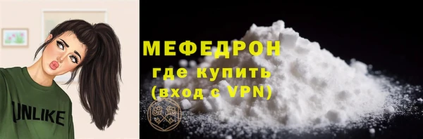 индика Заводоуковск