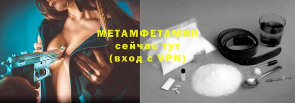 индика Заводоуковск