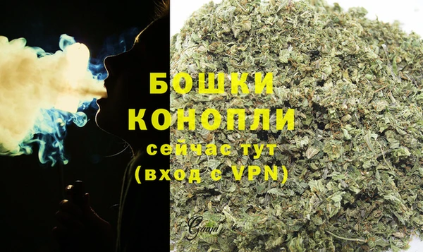 индика Заводоуковск
