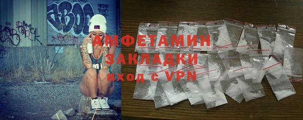 индика Заводоуковск