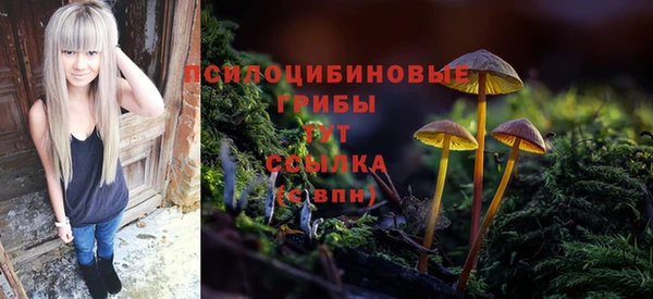индика Заводоуковск