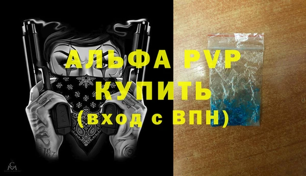 индика Заводоуковск