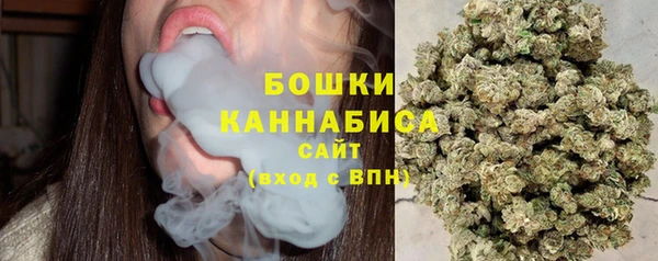 молекула духа Заволжье