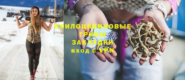индика Заводоуковск