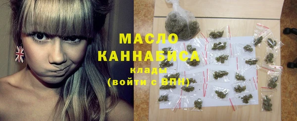 индика Заводоуковск